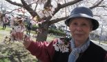 お花見ドライブ